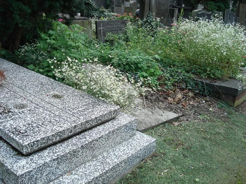 Zdjęcie grobu Józefa Denys (1)