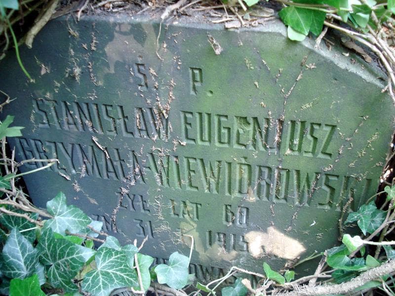 Zdjęcie grobu Stanisław Eugeniusz Grzymała-Wiewiórowski (1)