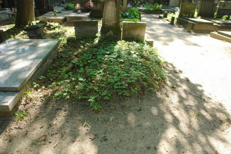 Zdjęcie grobu: Pole Grobowe