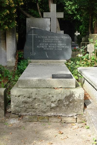 Zdjęcie grobu: Roman Wyrzykowski