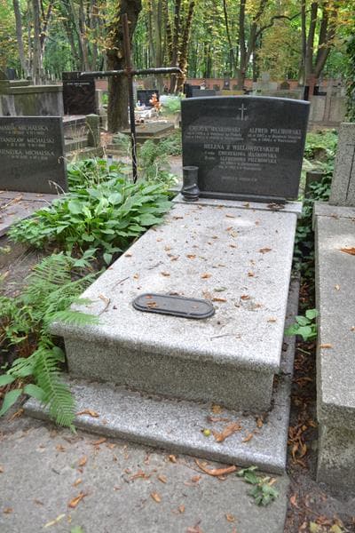 Zdjęcie grobu Alfred Pilchowski (1)