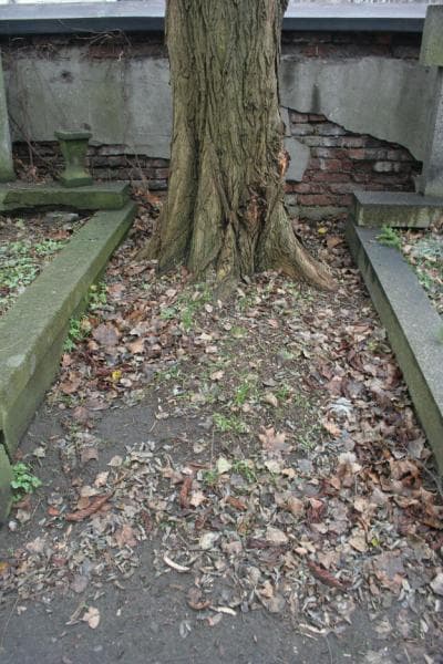 Zdjęcie grobu: Pole Grobowe
