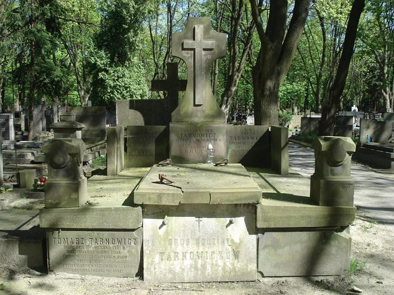 Zdjęcie grobu: Tomasz Tarnowicz