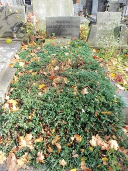 Zdjęcie grobu: Jerzy Górewicz