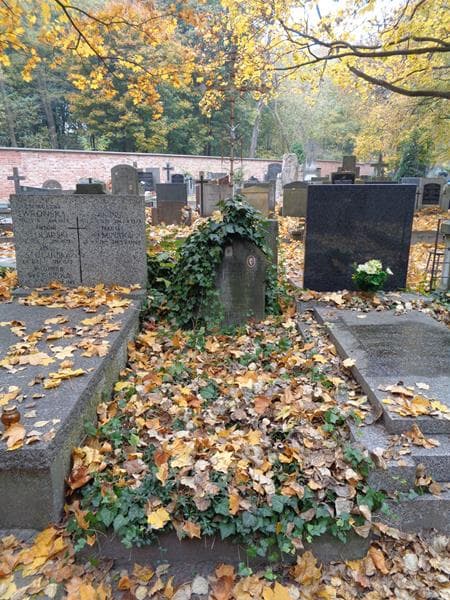 Zdjęcie grobu Michał Grzesiak (1)