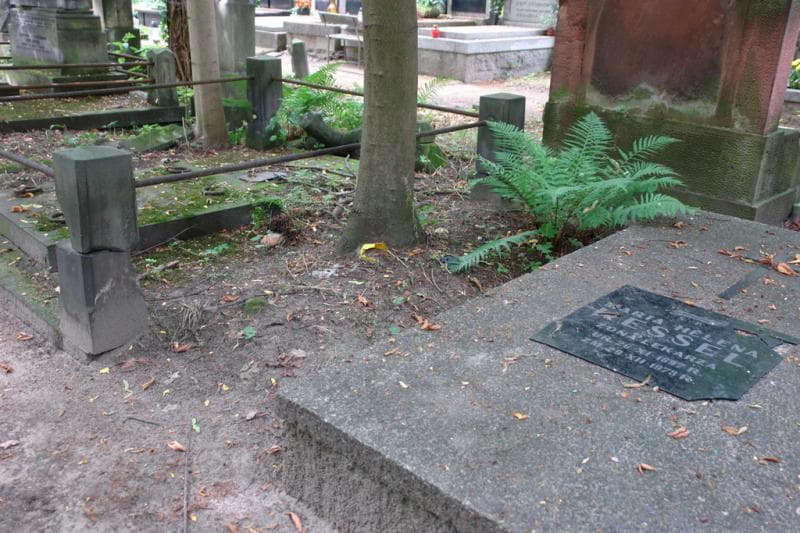 Zdjęcie grobu Pole Grobowe (1)