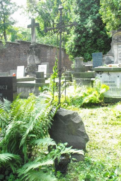 Zdjęcie grobu Józefa Koziczyńska (2)