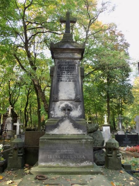 Zdjęcie grobu Bronisław Plebiński (2)