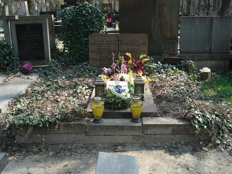 Zdjęcie grobu: Edward Dziarkowski