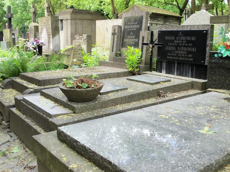 Zdjęcie grobu Wojciech Dobronoki (1)