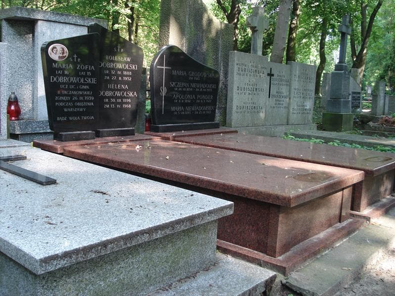 Zdjęcie grobu Maria Dobrowolska (1)