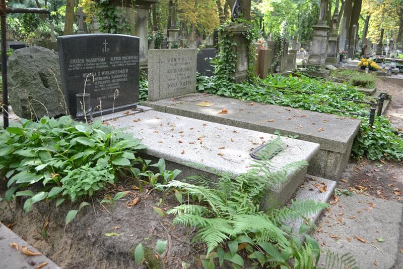 Zdjęcie grobu: Alfred Pilchowski