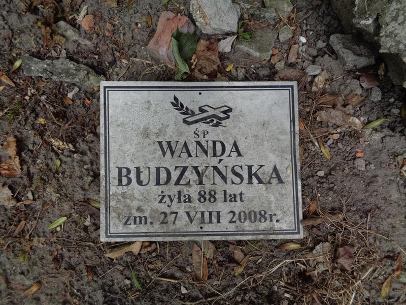 Zdjęcie grobu Pole Grobowe / Wanda Budzyńska (1)