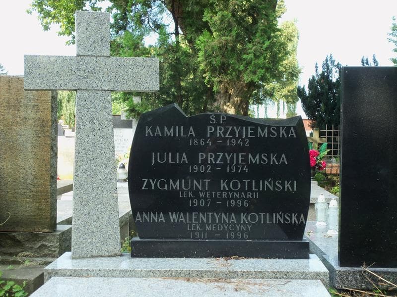 Zdjęcie grobu Julia Przyjemska (2)