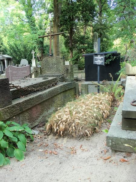 Zdjęcie grobu Witold Lichaczewski (1)
