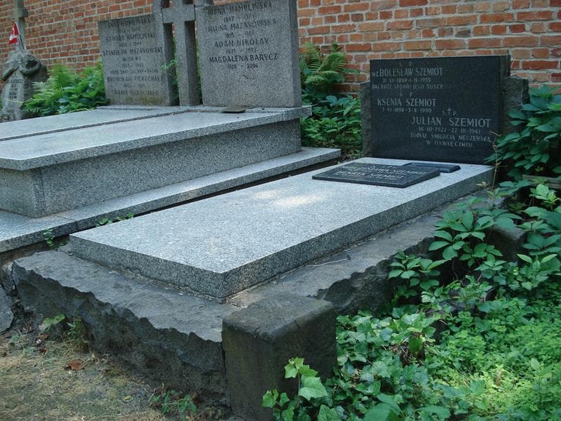 Zdjęcie grobu Henryk Szemiot (1)