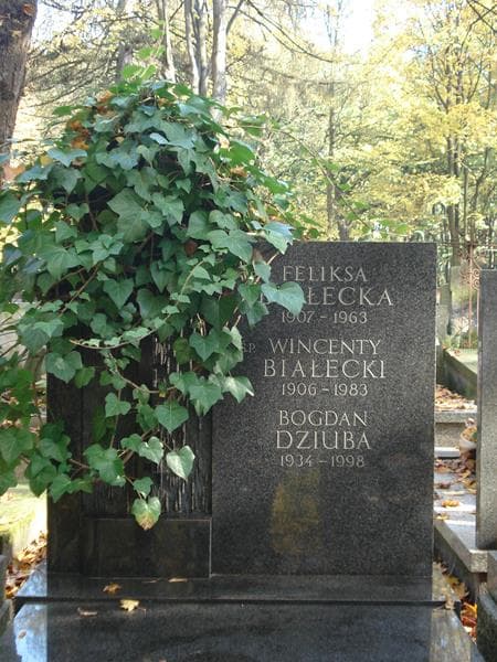 Zdjęcie grobu Wincenty Białecki (2)