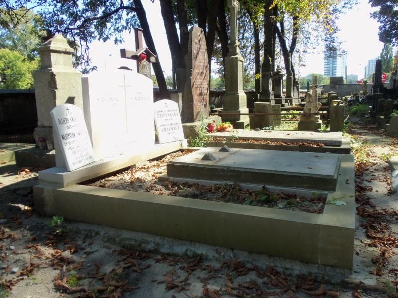 Zdjęcie grobu Witold Baniewicz (1)