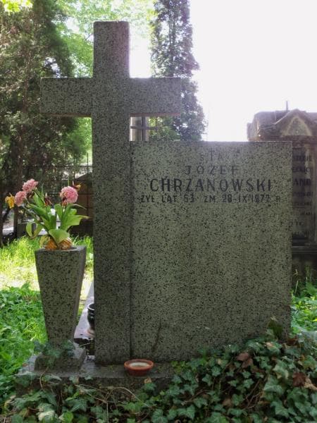 Zdjęcie grobu Józef Chrzanowski (2)