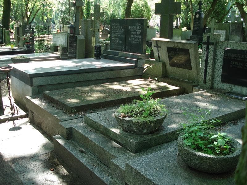 Zdjęcie grobu Aleksander Downarowicz (1)