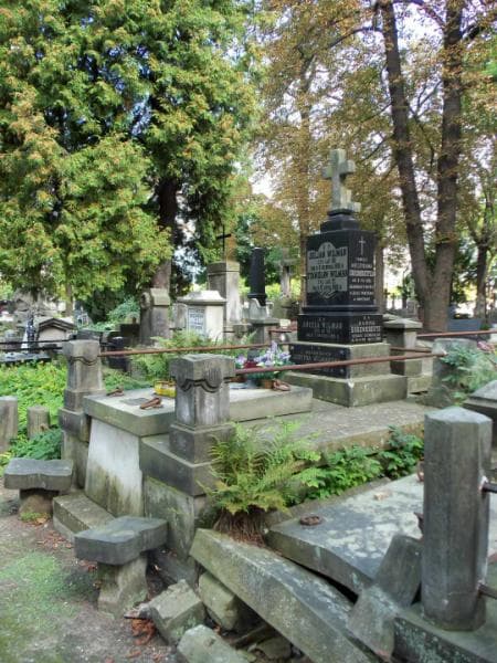 Zdjęcie grobu Hanna Ehrenkreutz (1)