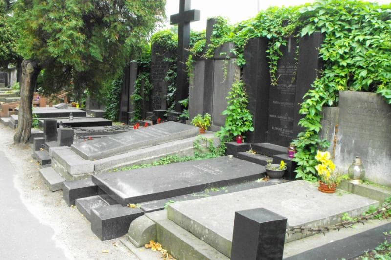 Zdjęcie grobu Klemens Długaszewski (1)