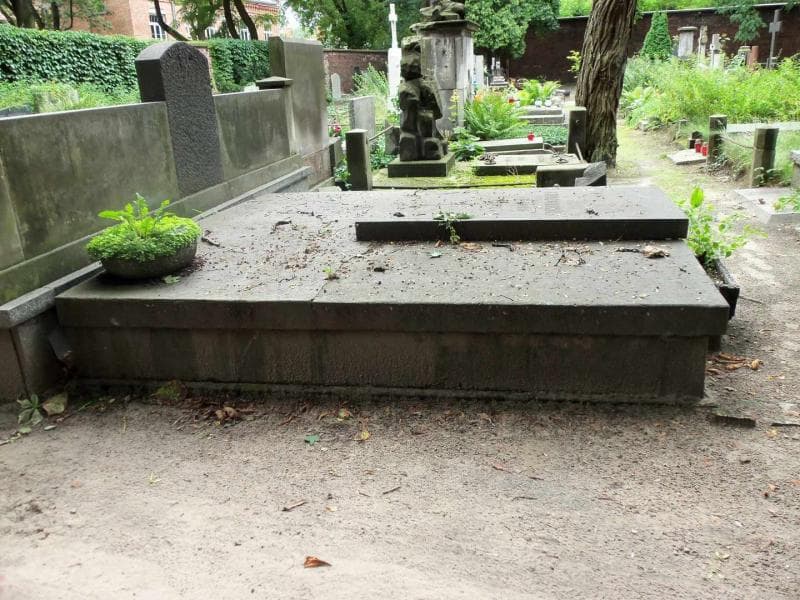 Zdjęcie grobu Frankowscy (1)