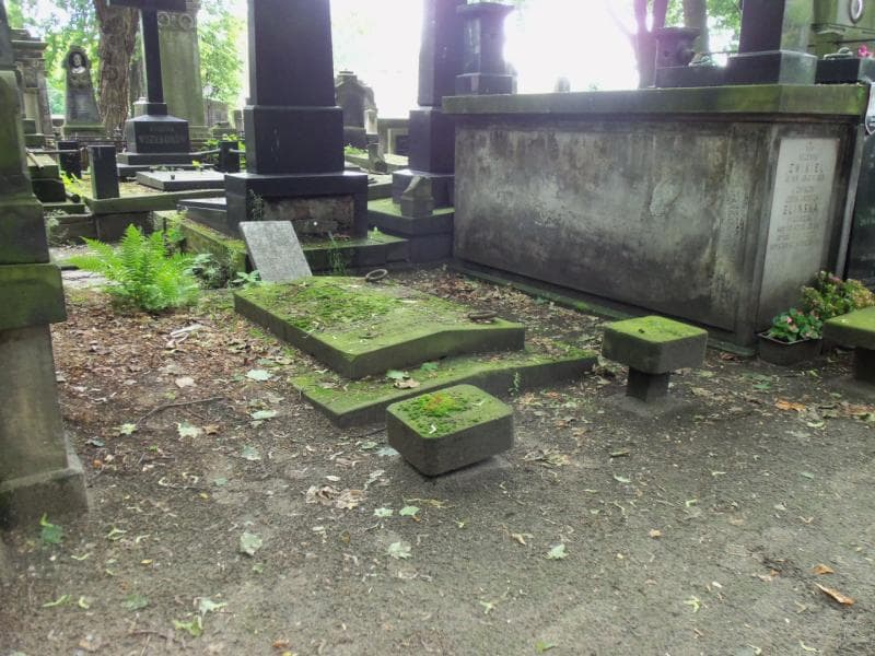 Zdjęcie grobu Józef Wójcicki (1)