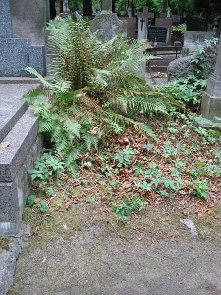Zdjęcie grobu Pole Grobowe (1)