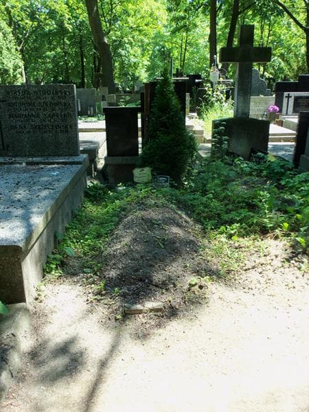 Zdjęcie grobu: Helena Paziewska
