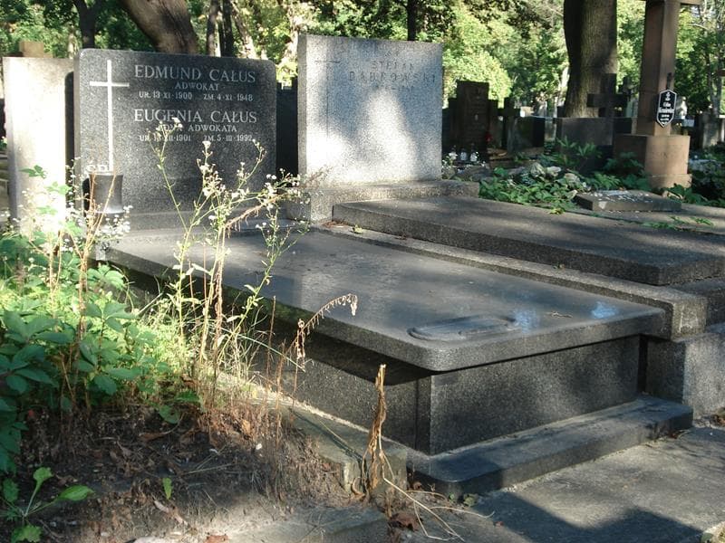 Zdjęcie grobu Eugenia Całus (1)
