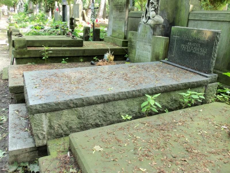 Zdjęcie grobu Anatol Przecławski (1)