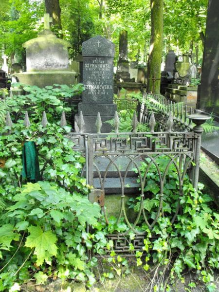 Zdjęcie grobu Marja Lewandowska (2)