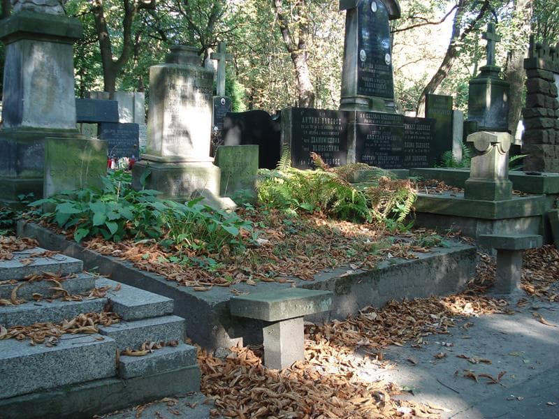 Zdjęcie grobu Henryk Brześć (1)