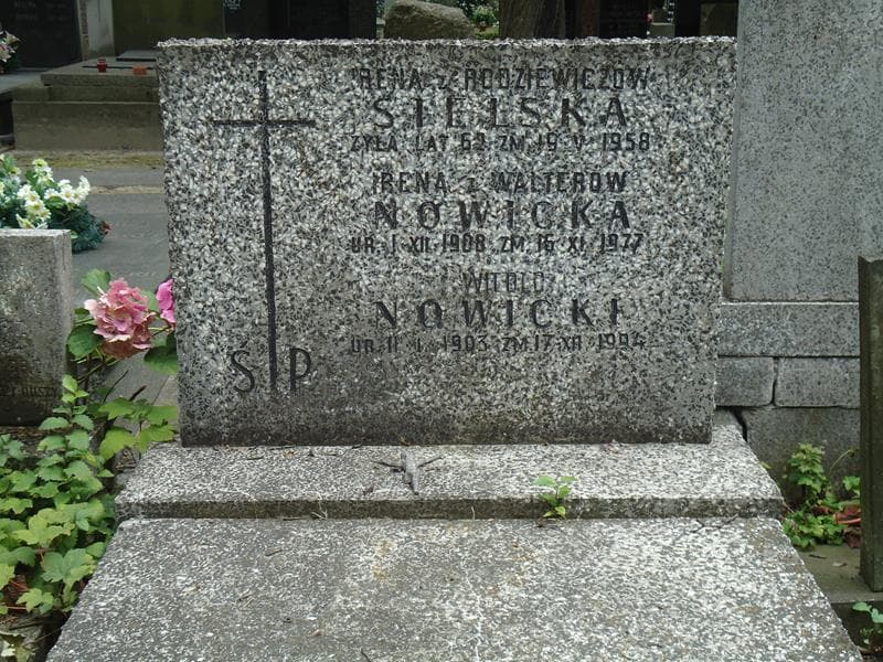 Zdjęcie grobu Witold Nowicki (2)