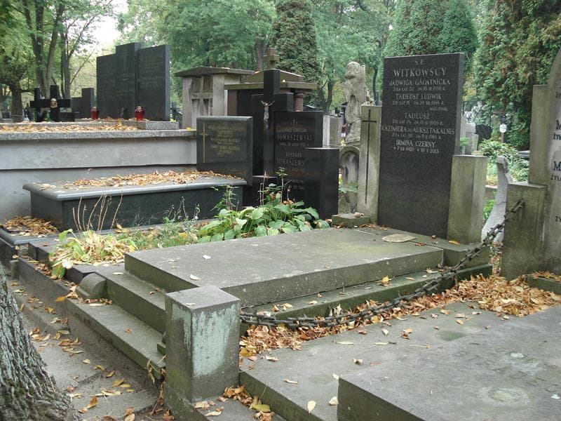 Zdjęcie grobu: Irmina Czerny