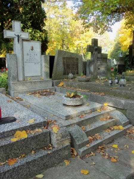 Zdjęcie grobu Teodat Biłyk (1)