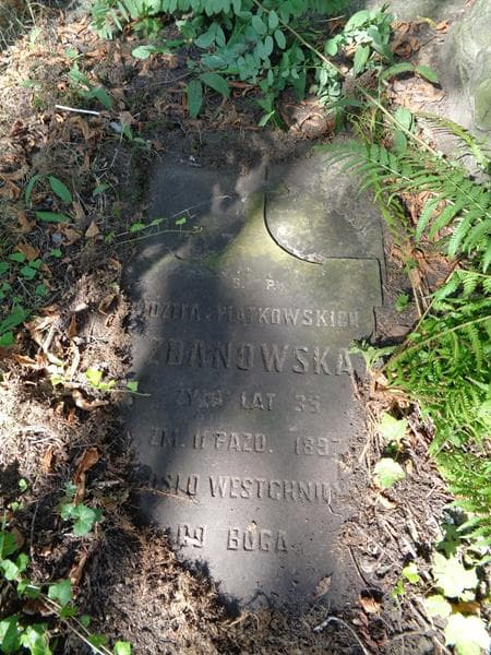 Zdjęcie grobu Józefa Zdanowska (1)