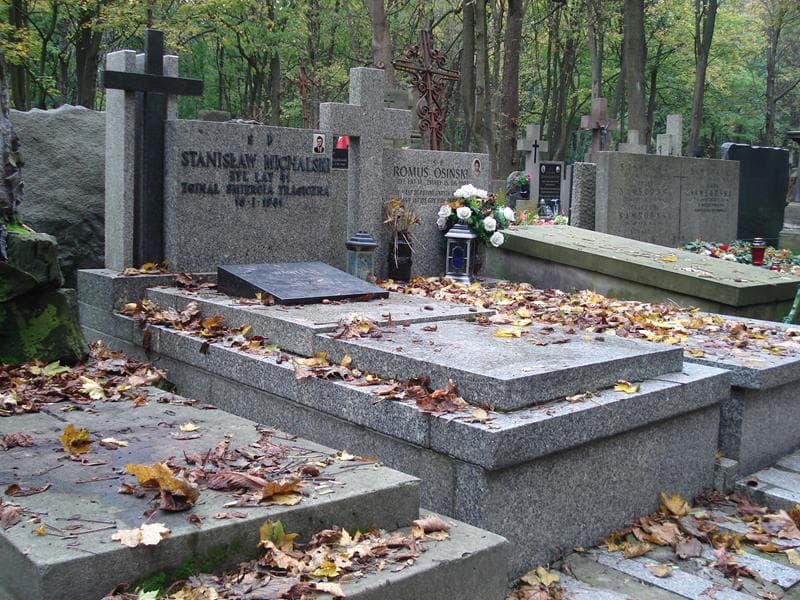 Zdjęcie grobu Stanisław Michalski (1)