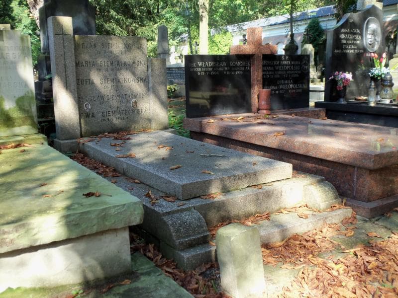Zdjęcie grobu Lucjan Siemiątkowski (1)