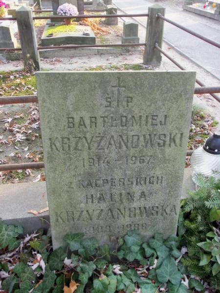 Zdjęcie grobu Halina Krzyżanowska (2)