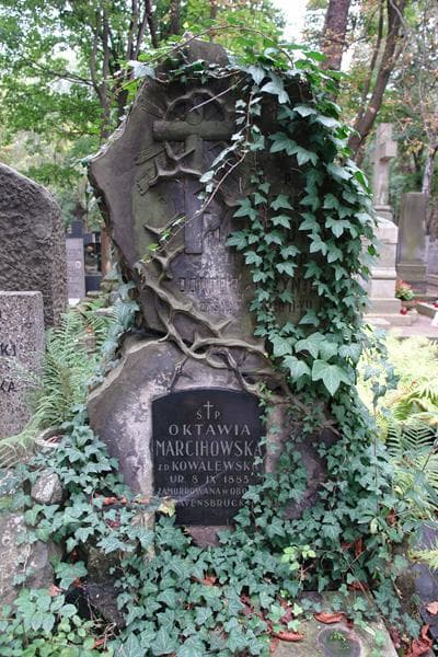 Zdjęcie grobu Helena Czyszkowska (2)
