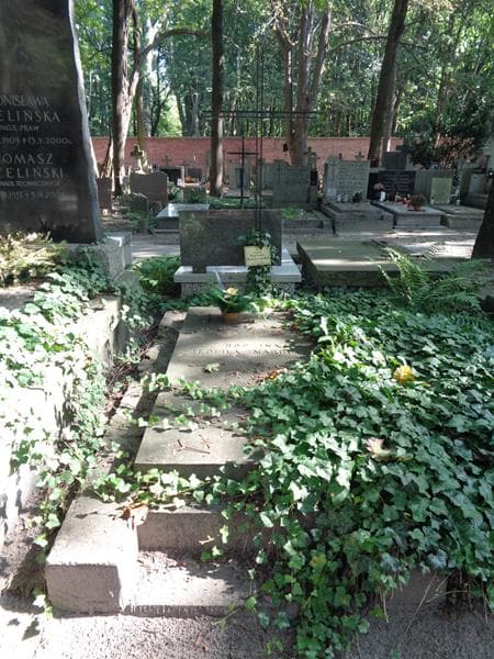 Zdjęcie grobu Helena Narbutt - Zembrzuska (1)