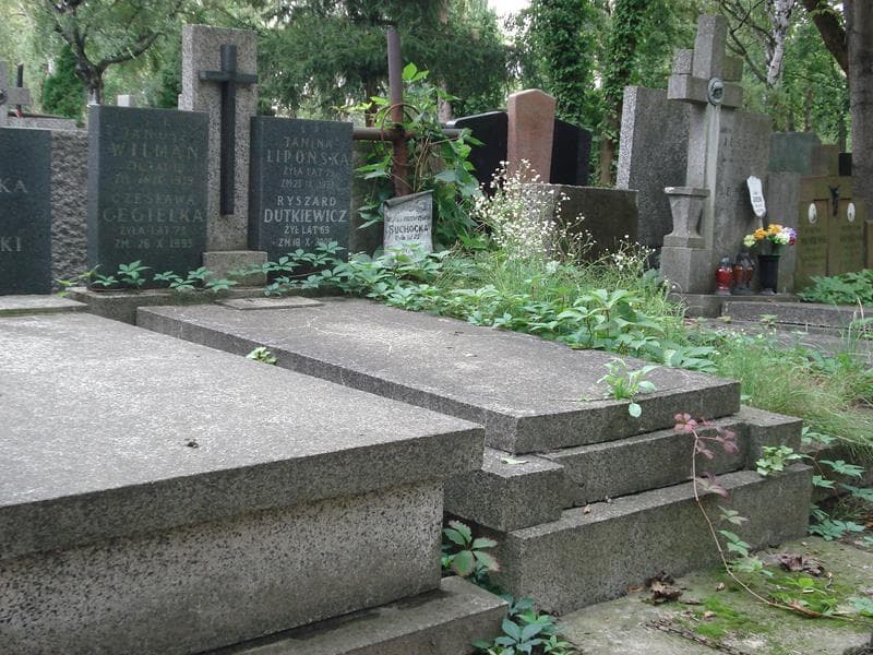 Zdjęcie grobu Czesława Cegiełka (1)
