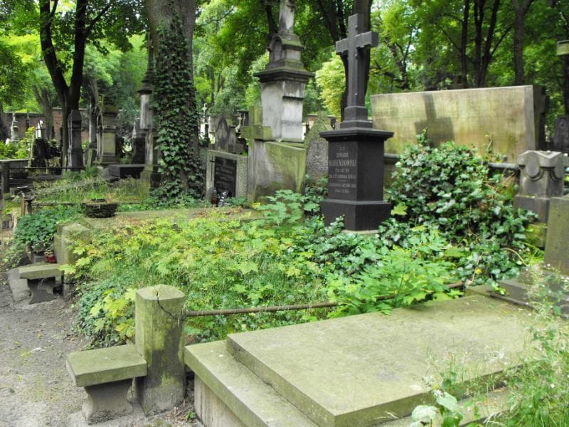 Zdjęcie grobu Edward Marendowski (1)