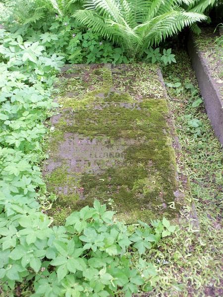 Zdjęcie grobu August Bednarski (2)