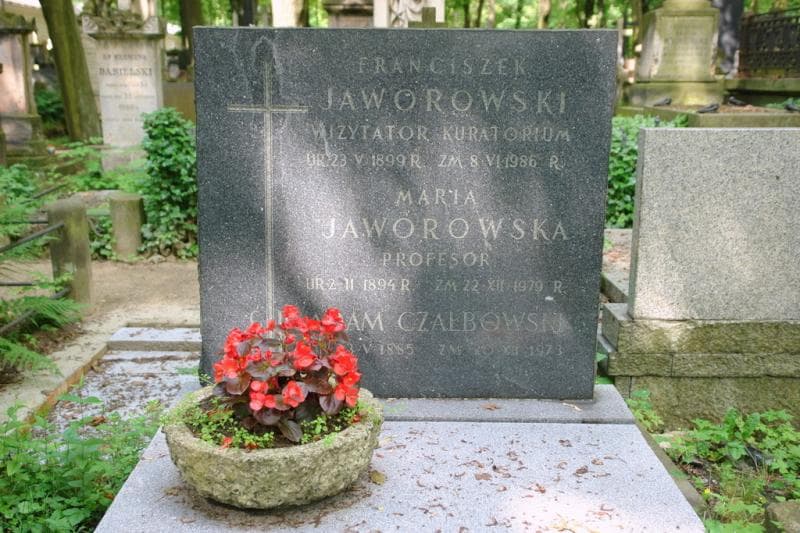 Zdjęcie grobu Maria Jaworowska (2)