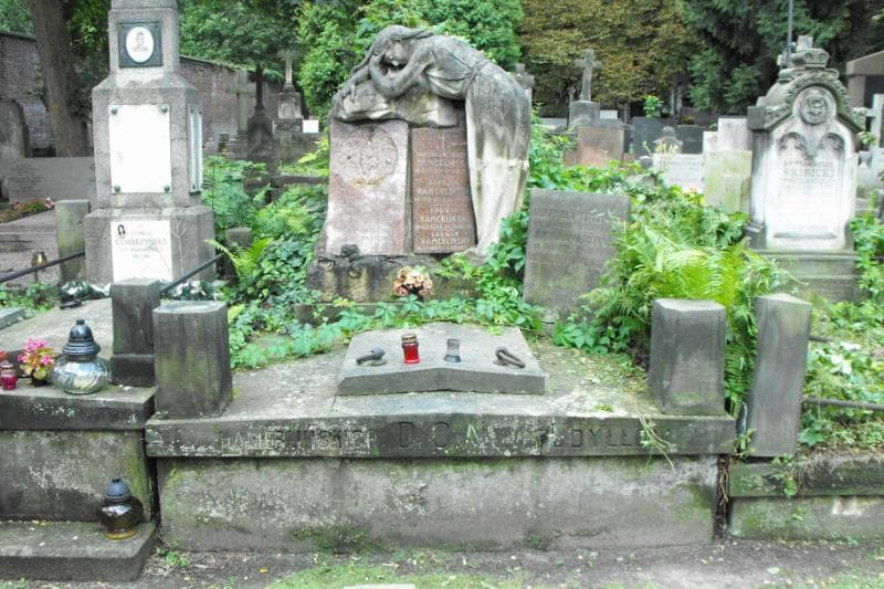 Zdjęcie grobu: Ludwik Hamerliński