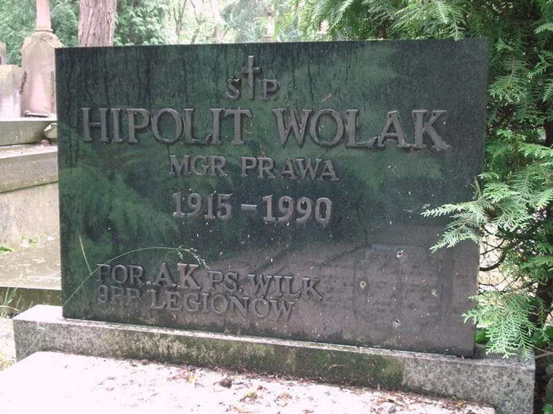 Zdjęcie grobu Hipolit Wolak (2)