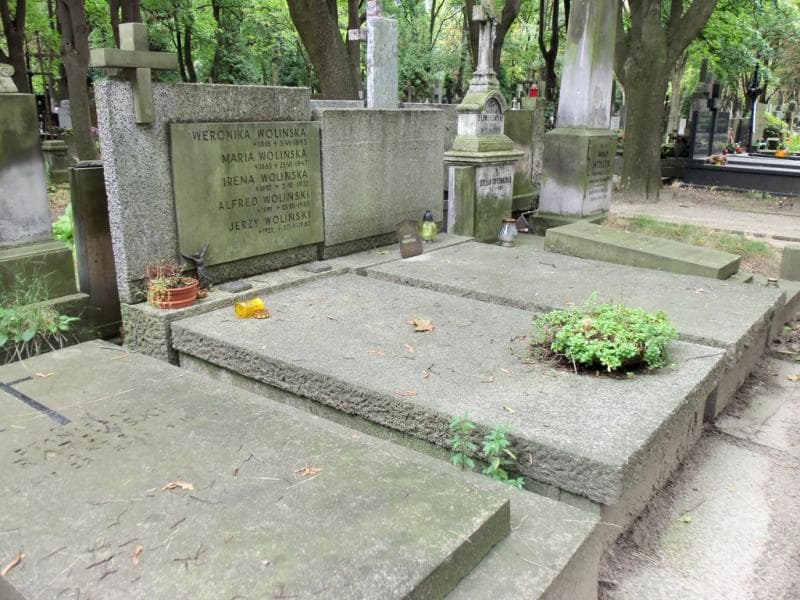 Zdjęcie grobu Alfred Woliński (1)